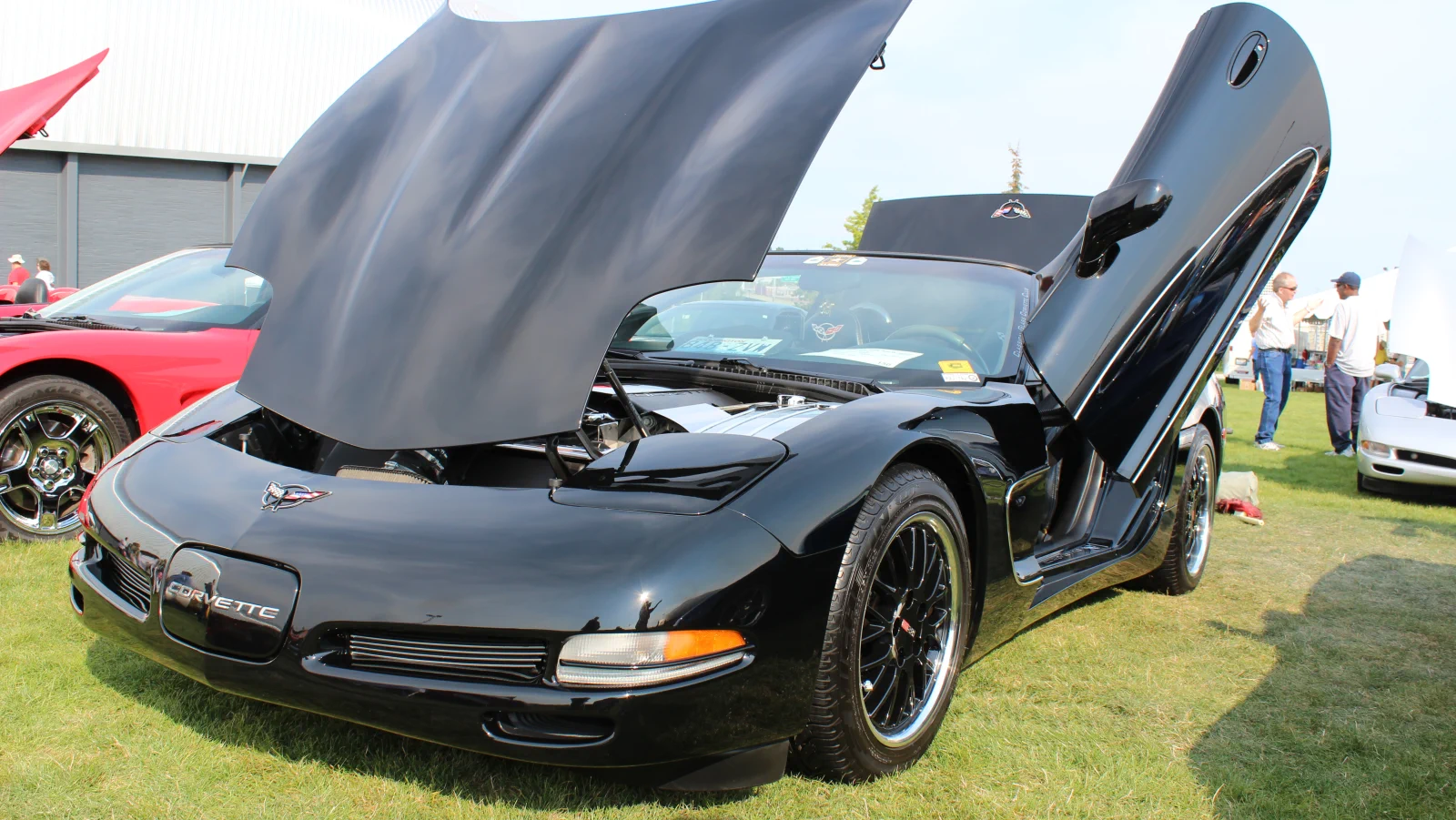 Click to Enlarge-Esc to Close Corvette Generations/C5/C5 Black Wing a.webp